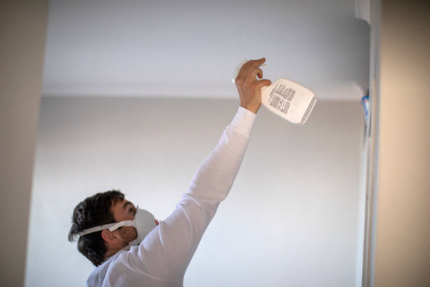 Best Bathroom Mold Remediation in Beach, ND
