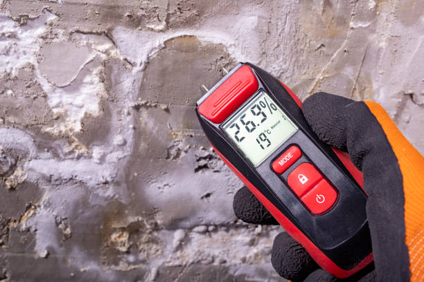 Best Commercial Mold Remediation in Beach, ND
