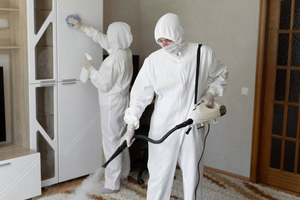 Trusted Beach, ND Mold Remediation Experts